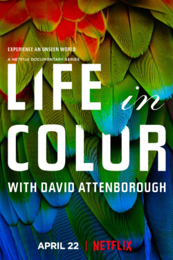 David Attenborough: la vita a colori