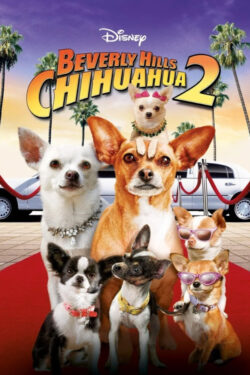 locandina Beverly Hills Chihuahua 2