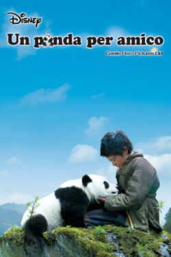 Locandina Un panda per amico