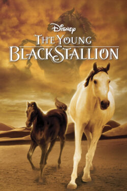locandina The Young Black Stallion