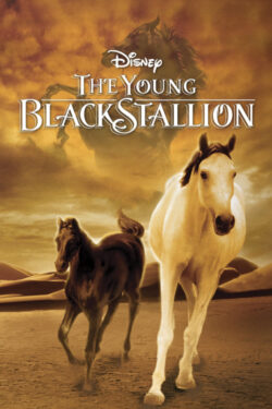 Locandina The Young Black Stallion