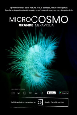 locandina Microcosmo-Grande Meraviglia