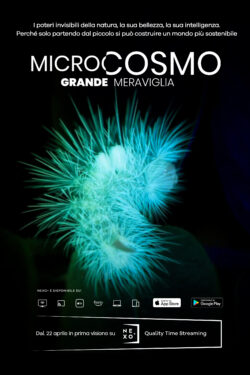 Locandina Microcosmo-Grande Meraviglia