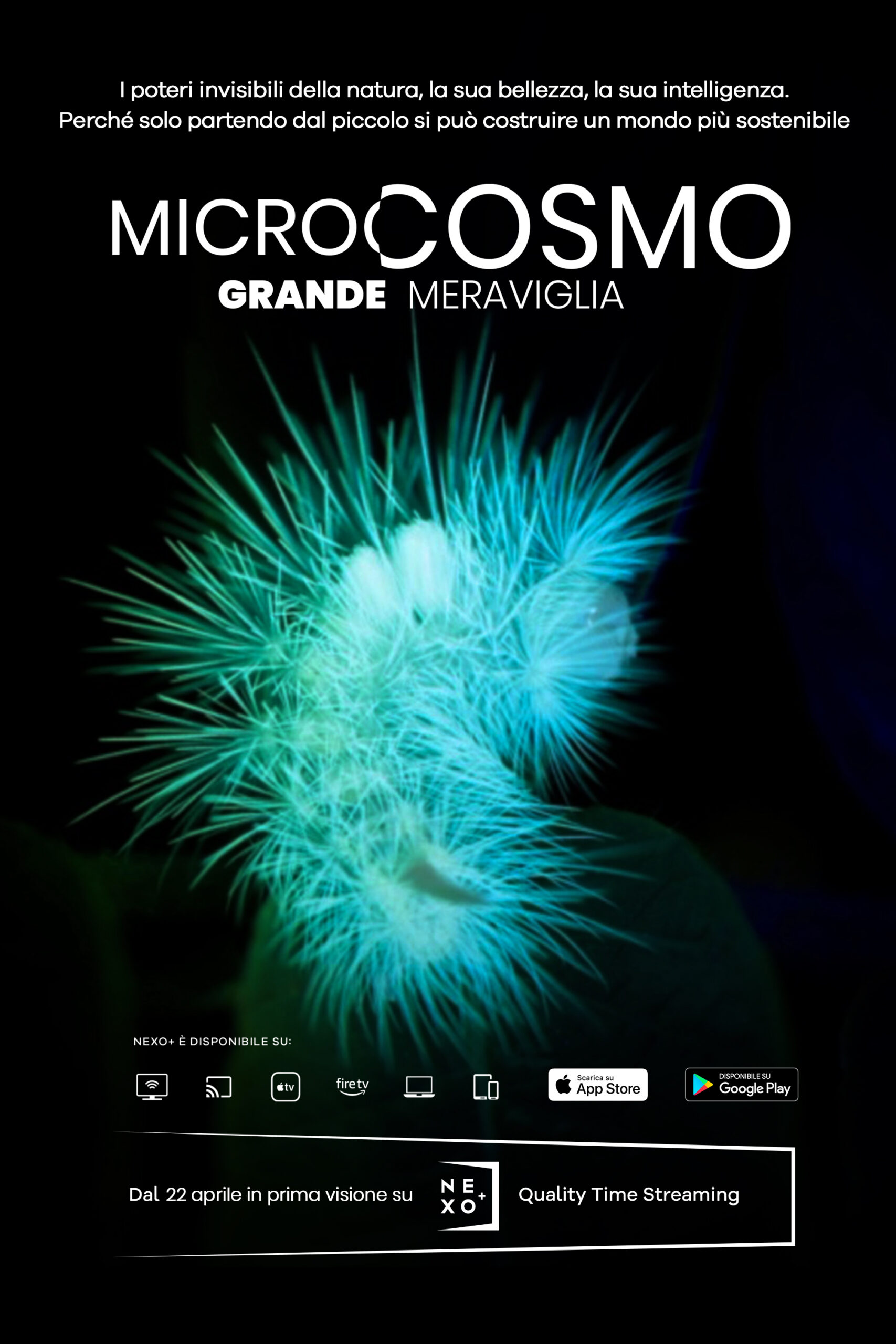 Microcosmo-Grande Meraviglia, Film 2020