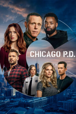 Scheda Chicago PD locandina Chicago PD