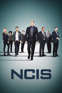 NCIS (stagione 5)