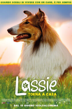 locandina Lassie torna a casa