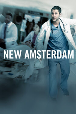 New Amsterdam (stagione 5)