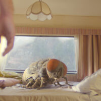 Mandibules – Due Uomini e Una Mosca