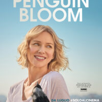 Poster Penguin Bloom