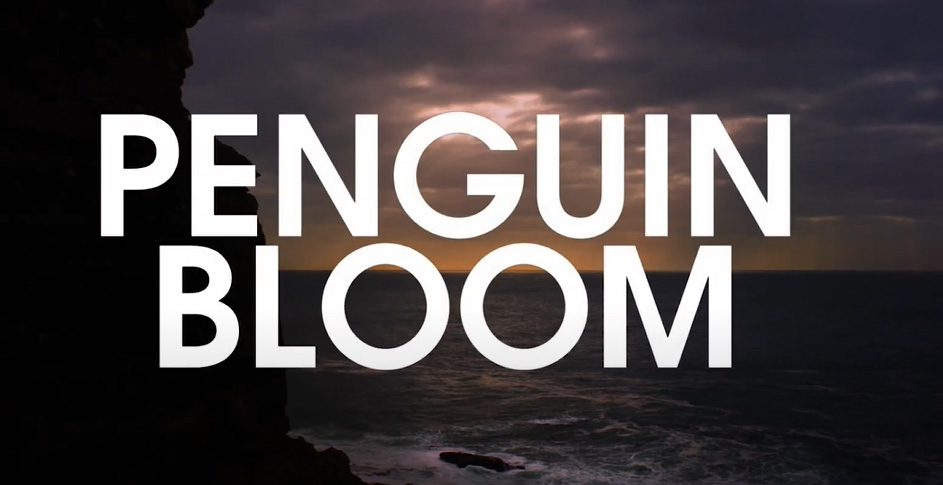 Trailer Penguin Bloom di Glendyn Ivin