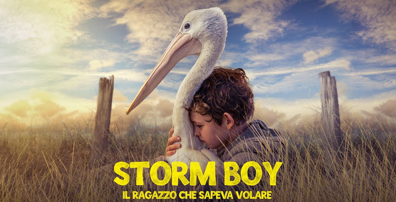Storm boy - il ragazzo che sapeva volare