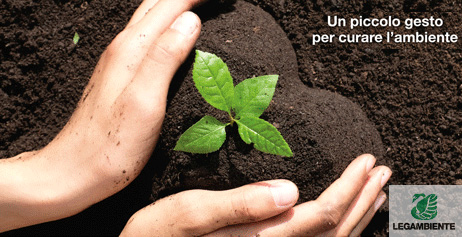 Un piccolo gesto per curare l'ambiente