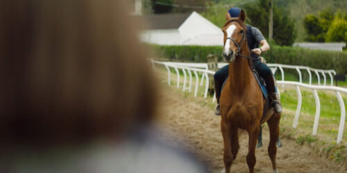 Carattere: Clip dal film Dream Horse di Euros Lyn