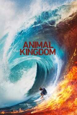 Animal Kingdom (stagione 6)