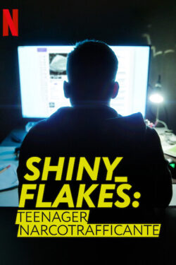 locandina Shiny_Flakes: teenager narcotrafficante