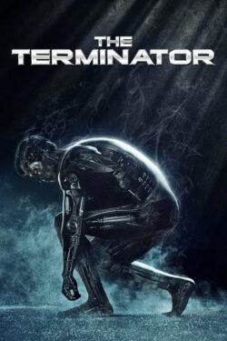 Poster The Terminator
