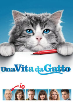 locandina Una Vita Da Gatto