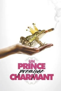 Poster Un prince (presque) charmant