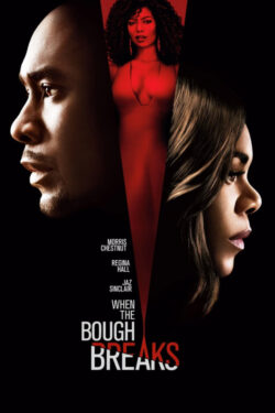 Poster When the Bough Breaks