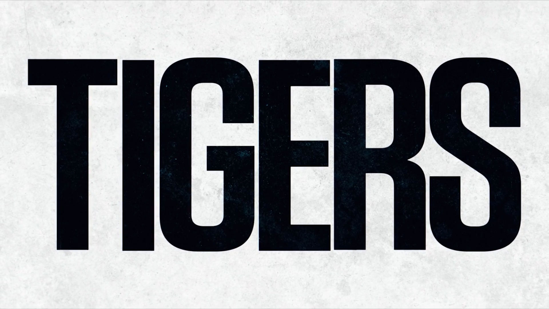 Tigers di Ronnie Sandahl in VOD