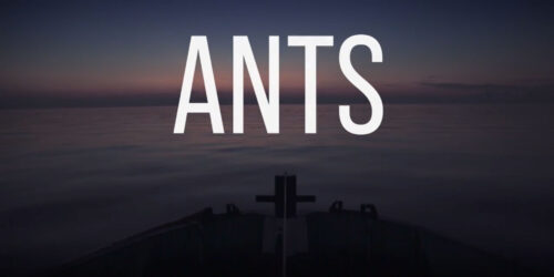 Formiche (Ants), teaser del docufilm di Valerio Nicolosi in cammino al fianco dei migranti