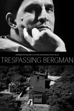 Locandina Trespassing Bergman