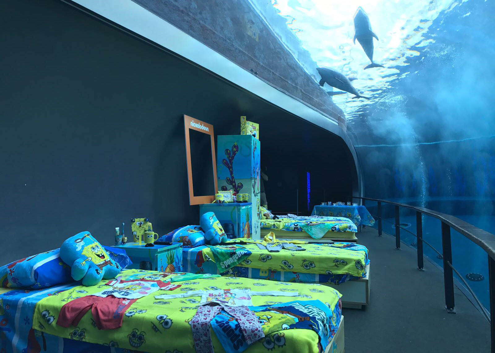 Una notte all'Acquario con SpongeBob [credit: courtesy of Nickelodeon]