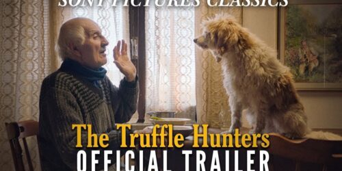 Trailer The Truffle Hunters di Michael Dweck, Gregory Kershaw