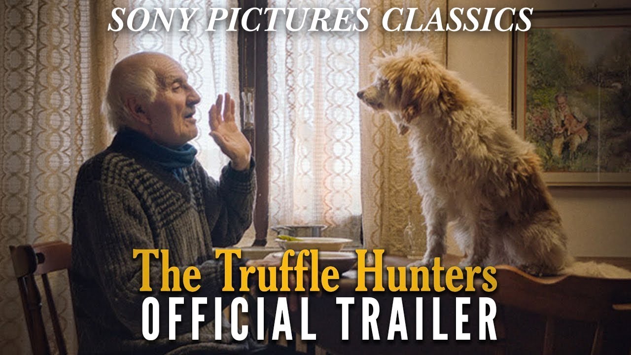 Trailer The Truffle Hunters di Michael Dweck, Gregory Kershaw