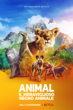 Animal: il meraviglioso regno animale