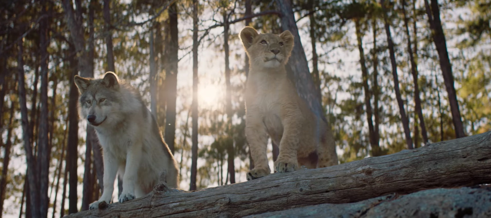 Il lupo e il leone, trailer film di Gilles de Maistre