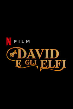 Poster David e gli elfi