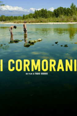 I cormorani