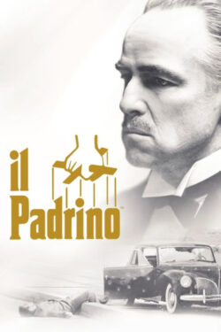 Poster Il Padrino