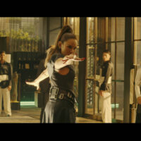 Fistful of Vengeance