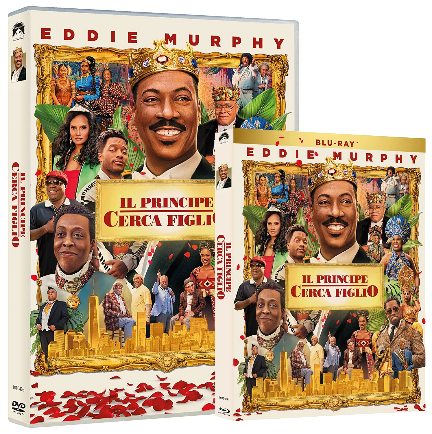 Il Principe Cerca Figlio in dvd e blu-ray