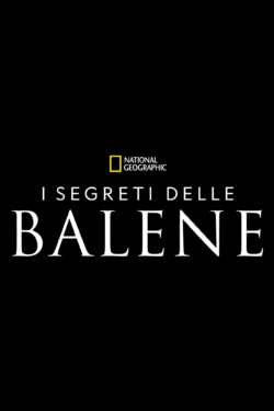 I segreti delle balene I segreti delle balene