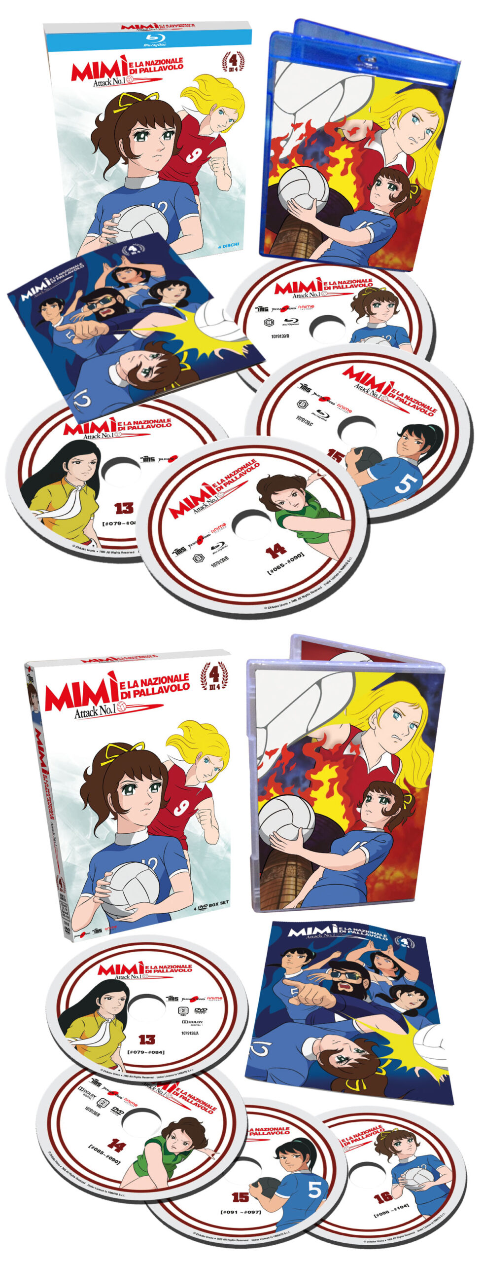 MIMÌ E LA NAZIONALE DI PALLAVOLO - VOLUME 4 in DVD e Blu-ray