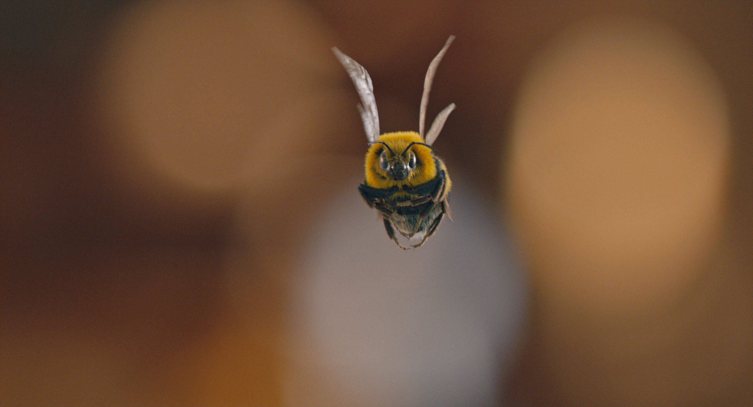 Man Vs Bee 1x01 [credit: courtesy of Netflix]