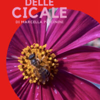 Poster Il canto delle cicale