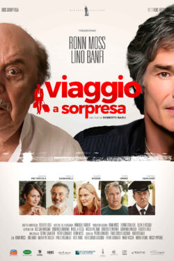 Viaggio a sorpresa – Poster