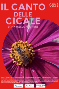 Poster Il canto delle cicale Poster Il canto delle cicale