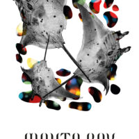 Poster Manta Ray
