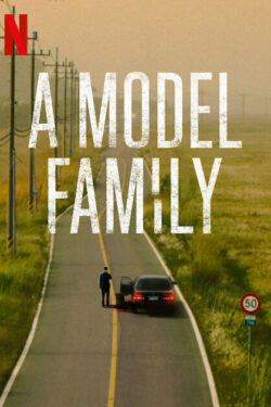 locandina A Model Family