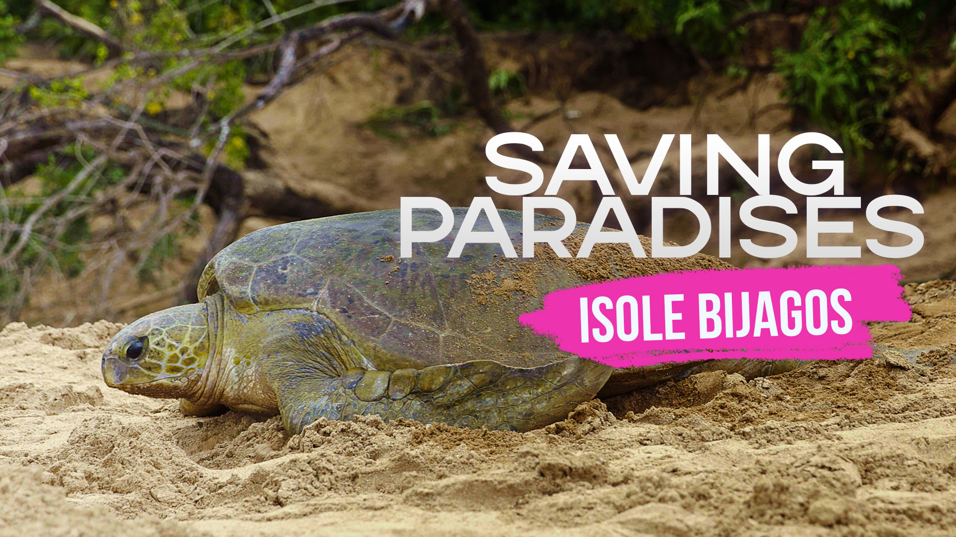 Poster Saving Paradises - Isole Bijagos