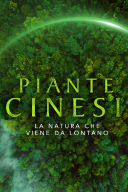 Piante cinesi - La natura che viene da lontano