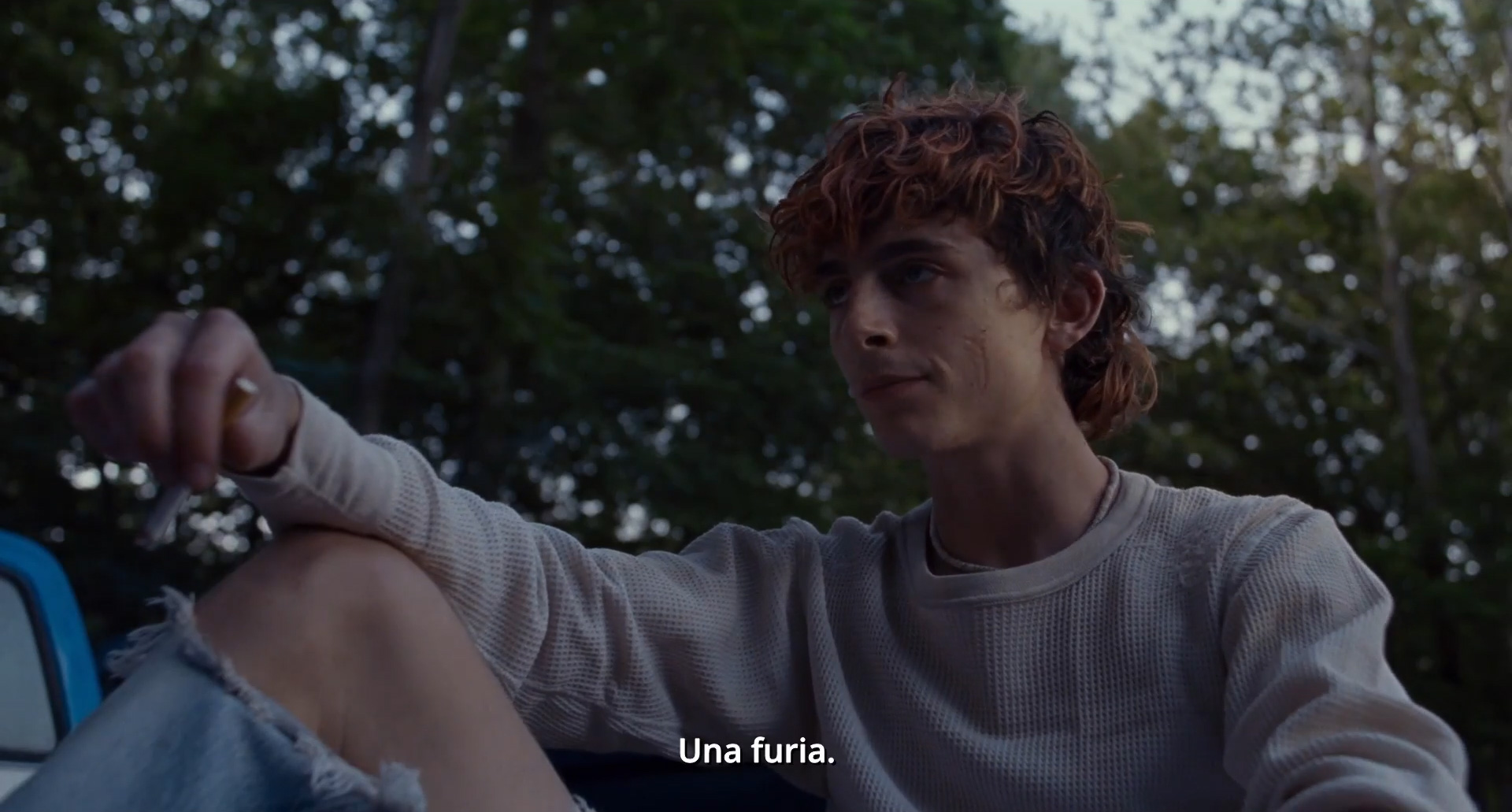 Timothée Chalamet in Bones And All di Luca Guadagnino