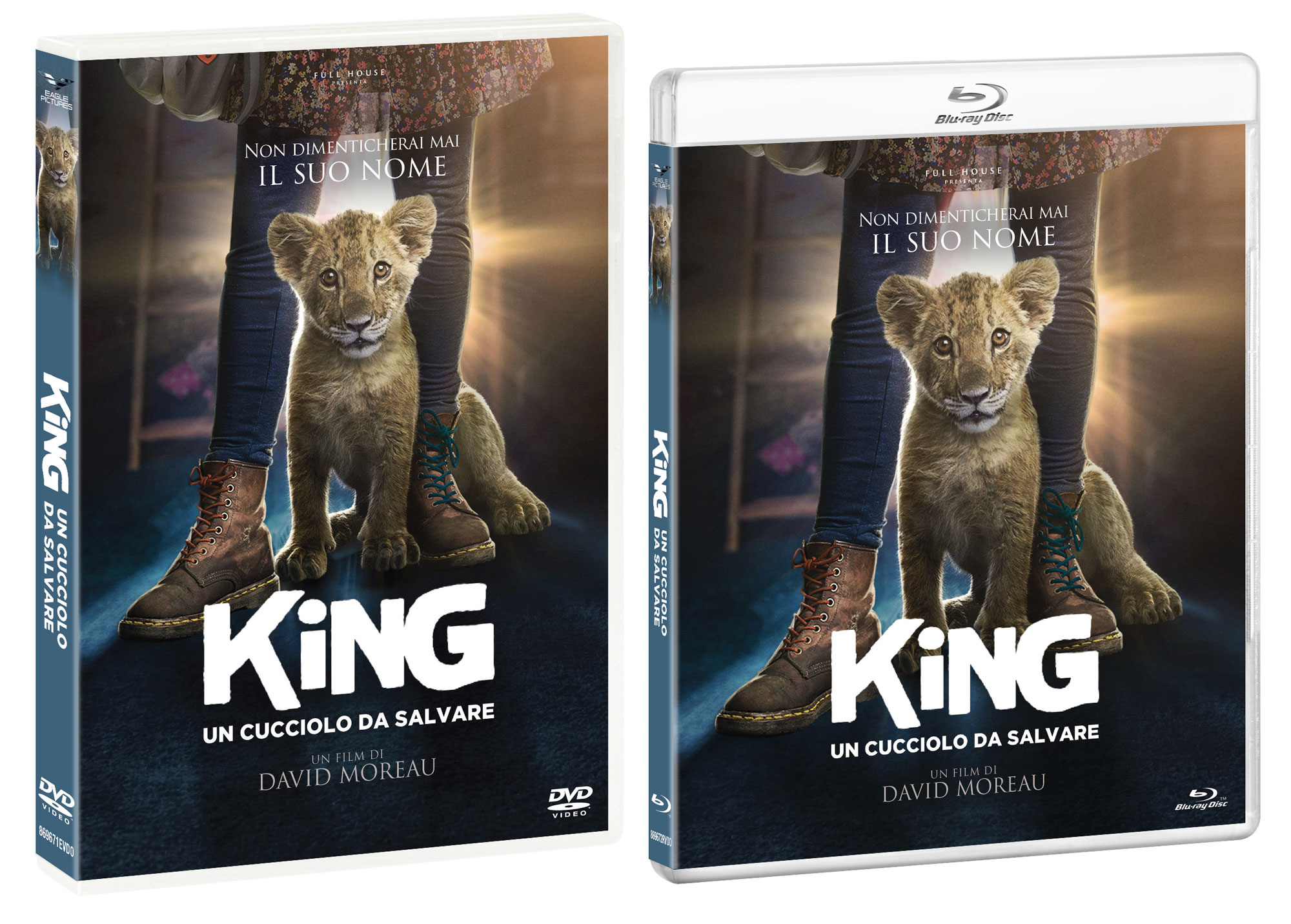 KING - UN CUCCIOLO DA SALVARE in DVD e Blu-ray