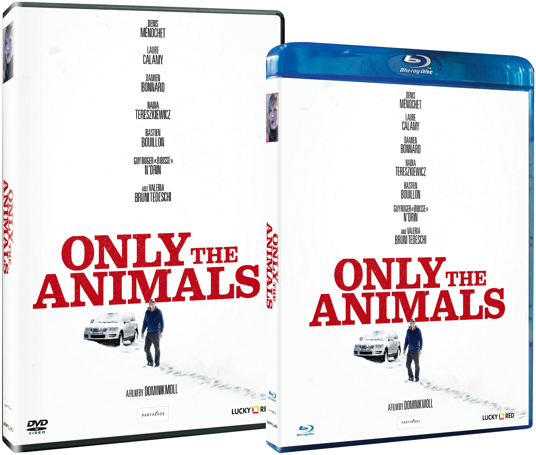 Only the animals - Storie di spiriti amanti in DVD e Blu-ray